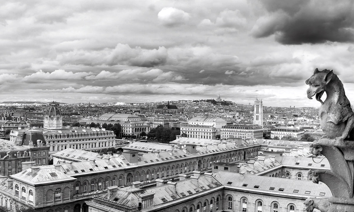 Paneli za kuhinje Paris by Notredame -  Stakleni / PVC ploče / Pleksiglas -  sa printom za kuhinju, Zidne obloge PKU206