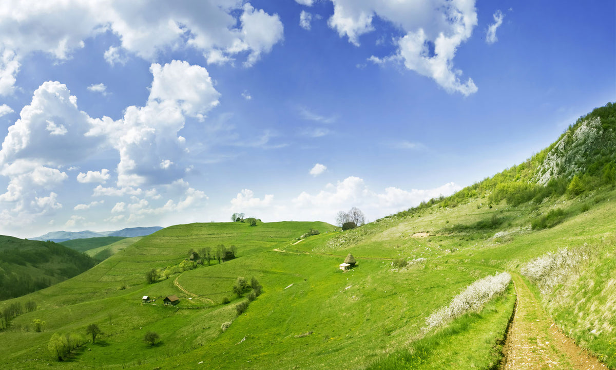 Paneli za kuhinje Summer scene -  Stakleni / PVC ploče / Pleksiglas -  sa printom za kuhinju, Zidne obloge PKU215