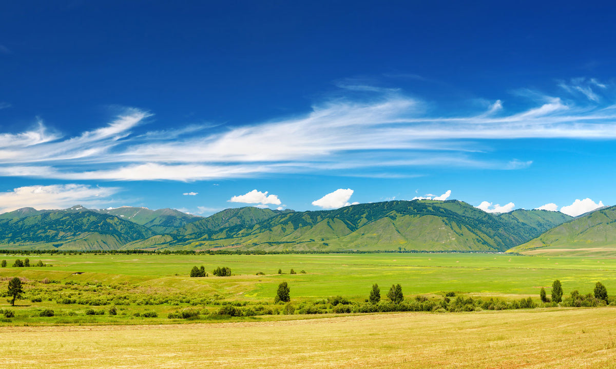 Paneli za kuhinje Mountain panorama -  Stakleni / PVC ploče / Pleksiglas -  sa printom za kuhinju, Zidne obloge PKU233