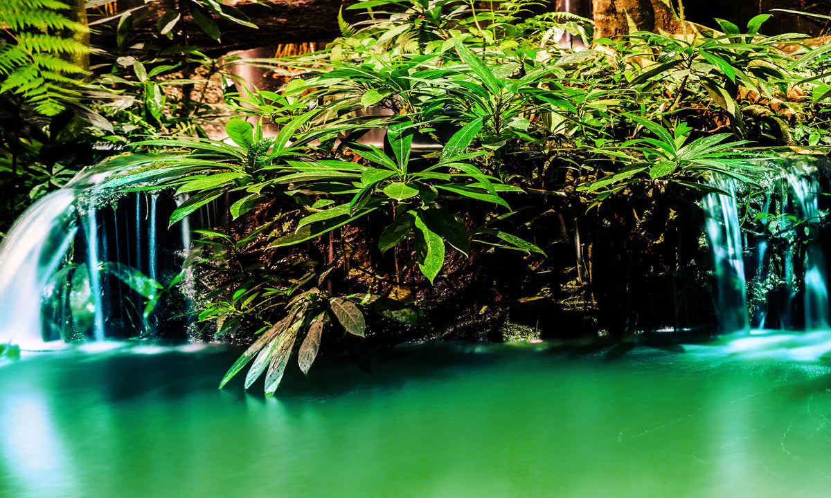 Paneli za kuhinje Waterfall in garden design -  Stakleni / PVC ploče / Pleksiglas -  sa printom za kuhinju, Zidne obloge PKU234