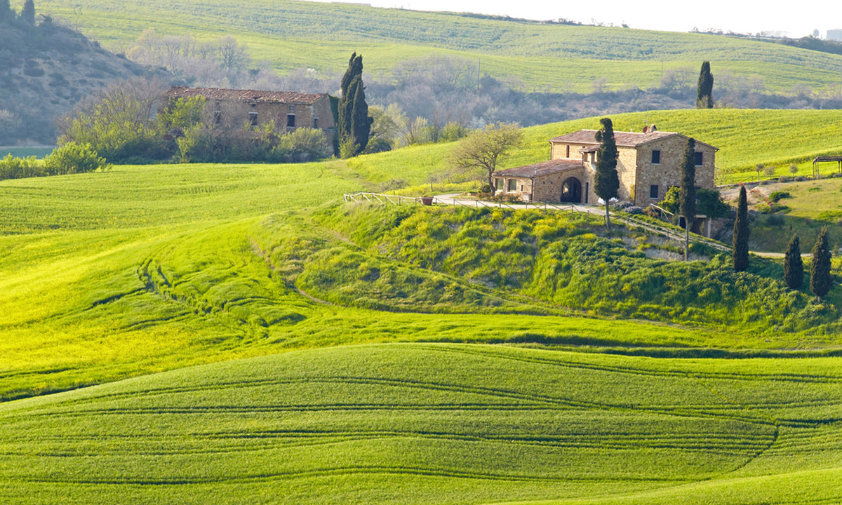 Stakla za kuhinje   Tuscany landscape -  Stakleni / PVC ploče / Pleksiglas -  sa printom za kuhinju, Zidne obloge PKU307