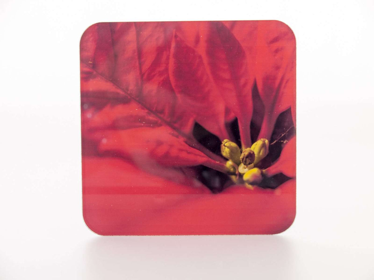 Podmetači za čaše - Red Roses CO002