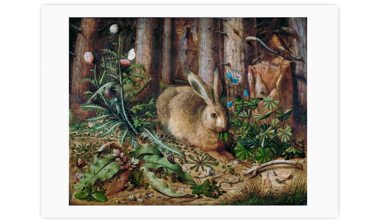 A Hare in the Forest (1585) painting by Hans Hoffmann, poster  PS008