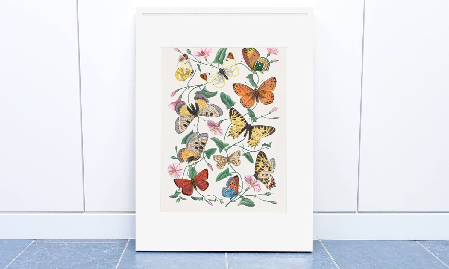 Butterfly & moth painting. Digitally enhanced from our own 1842 edition of Le Jardin Des Plantes by Paul Gervais, poster  PS006