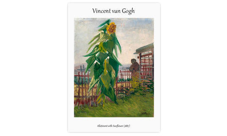 Vincent van Gogh's Allotment with Sunflower (1887), poster  PS088