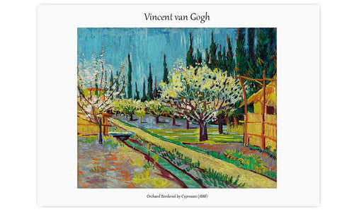 Orchard Bordered by Cypresses (1888) by Vincent Van Gogh, poster  PS099