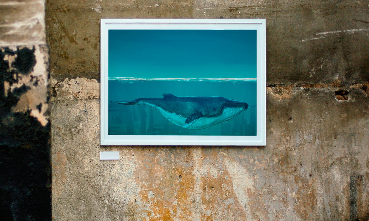 Whale in the ocean, poster  PS011