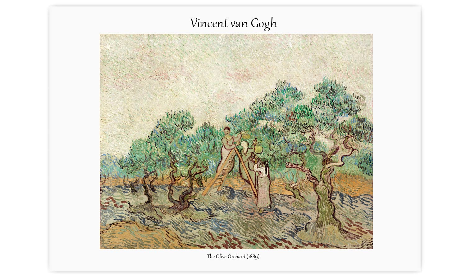 The Olive Orchard (1889) by Vincent van Gogh., poster  PS112