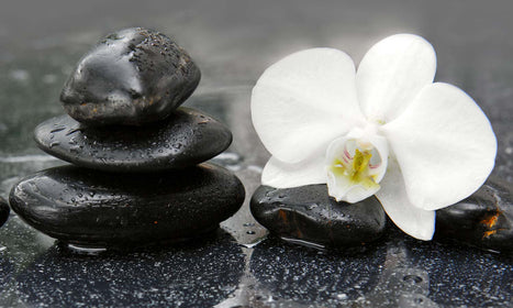 Slika za zid White orchid and black stones - AP136