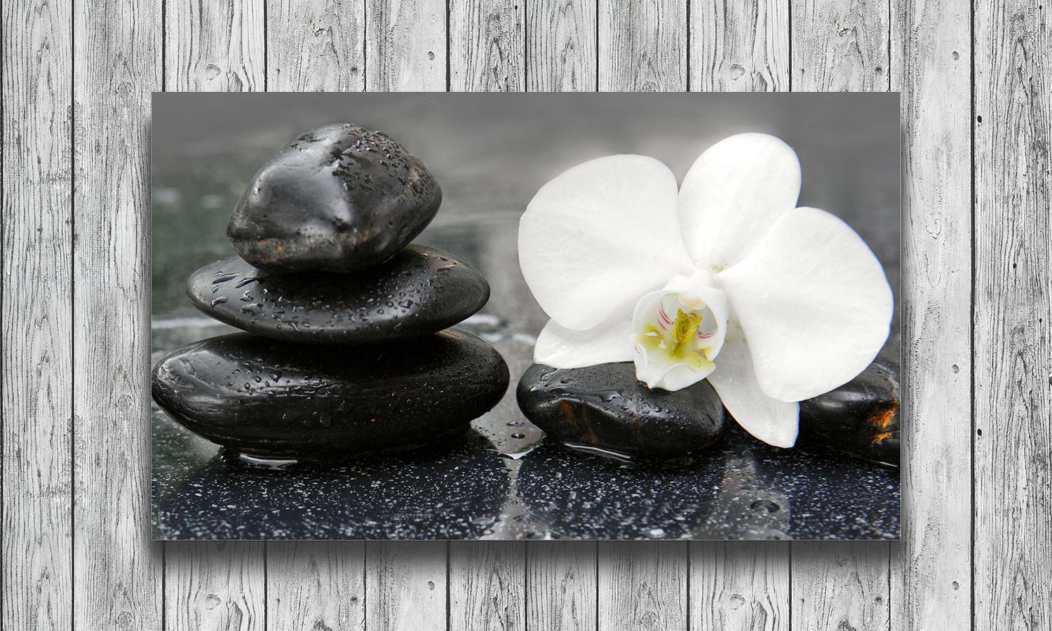 Slika za zid White orchid and black stones - AP136