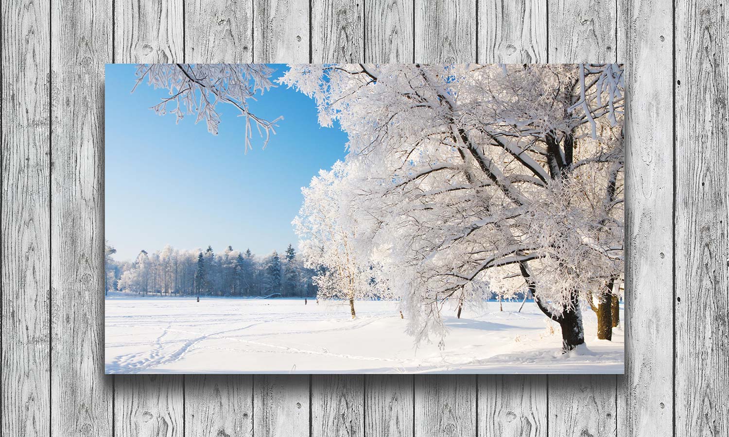 Slika za zid Winter park in snow - AP166