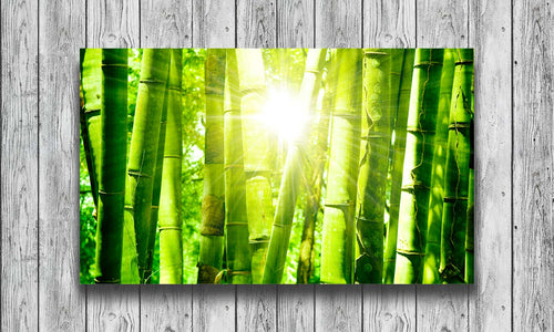 Slika za zid  Bamboo - AP180