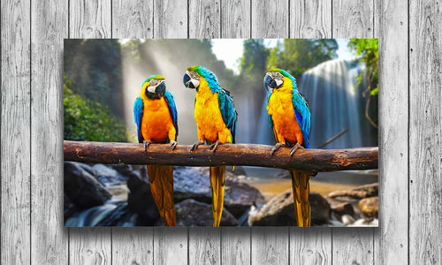 Slika za zid Blue-and-Yellow Macaw - AP138