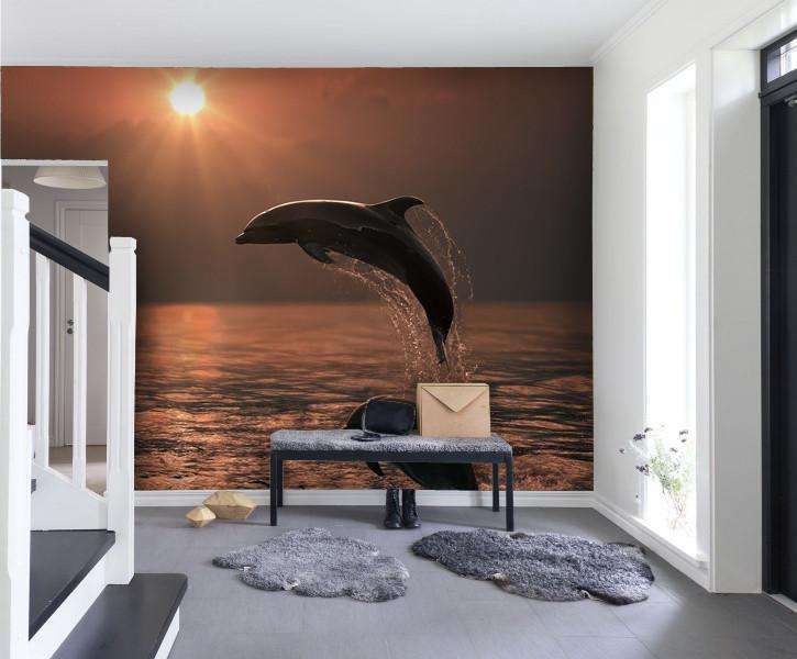 Zidne tapete Beautiful Dolphins SW398