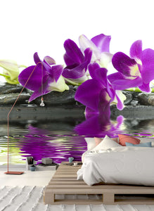 Zidne tapete Beautiful purple orchid SW059