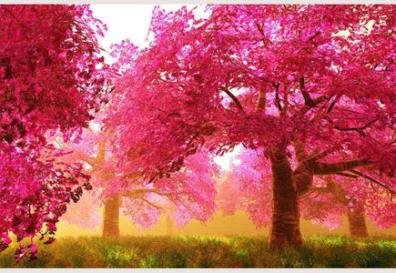 Zidne tapete Cherry Blossoms Trees SW073