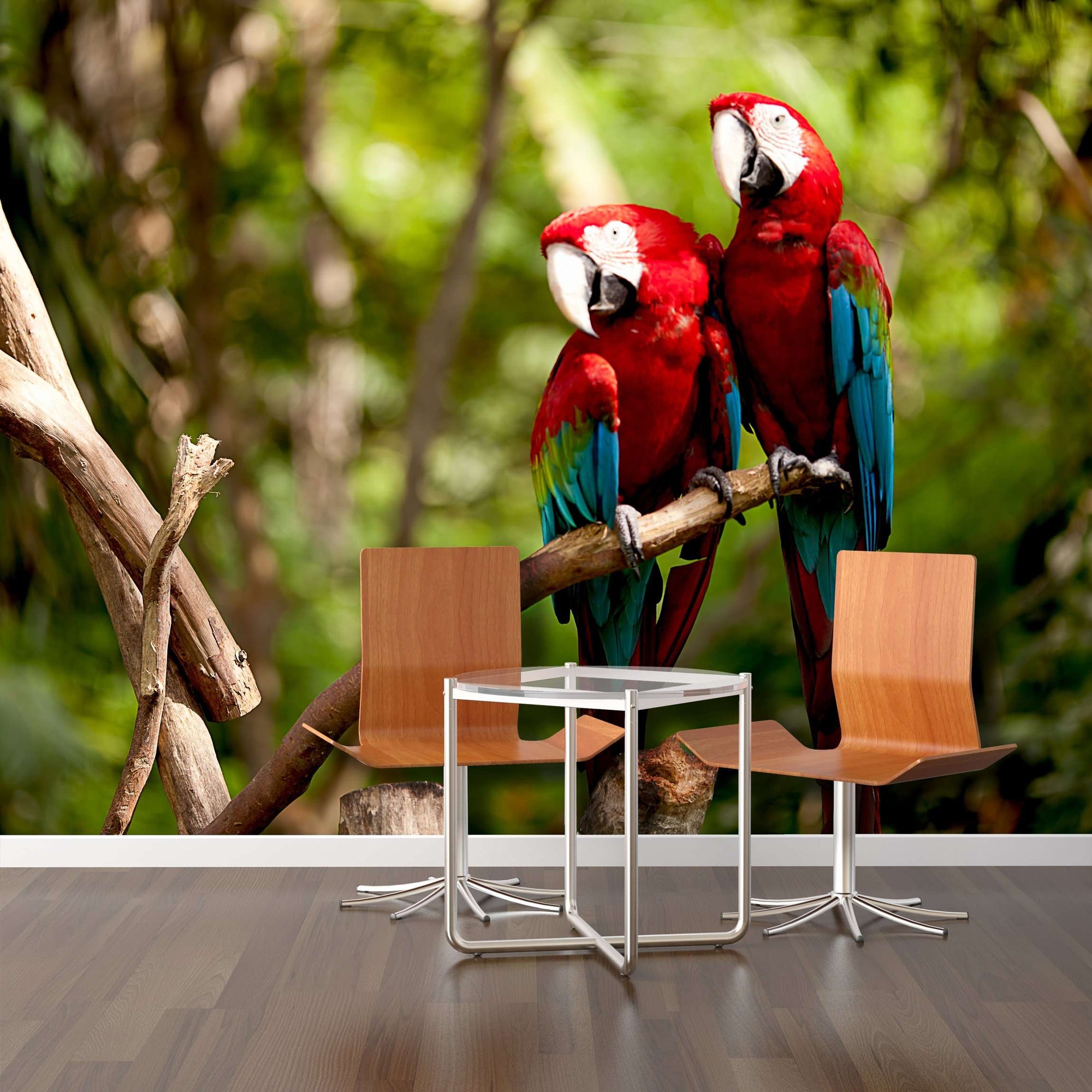Zidne tapete Colorful Macaw SW023