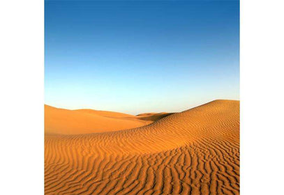Zidne tapete Evening desert SW299