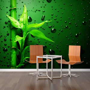 Zidne tapete Green Bamboo SW083