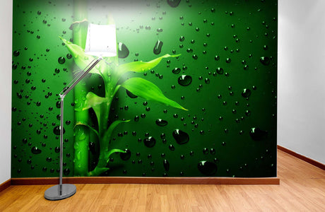 Zidne tapete Green Bamboo SW083