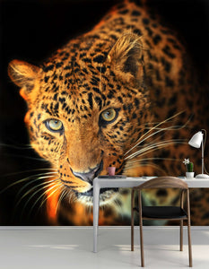 Zidne tapete Leopard SW046