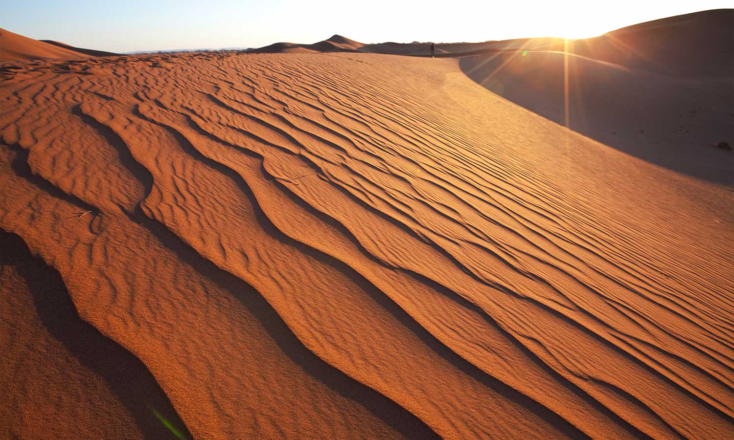 Zidne tapete Desert  - SW521