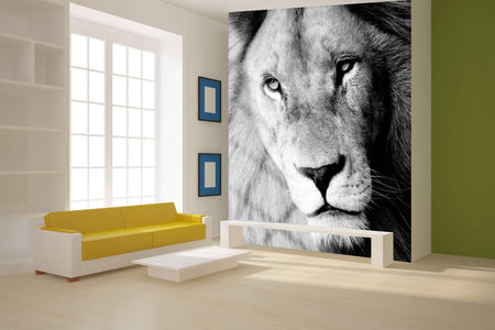 Zidne tapete Lion SW145