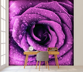 Zidne tapete Purple dark rose SW249