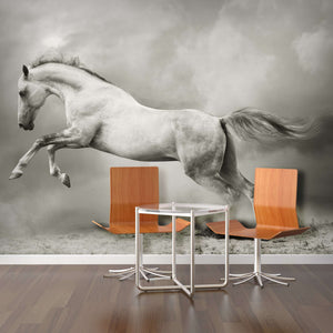 Zidne tapete Silver-white stallion SW052