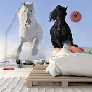 Zidne tapete White and black horse SW043