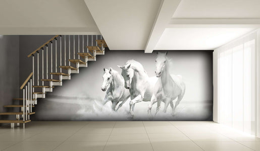 Zidne tapete White horses SW020
