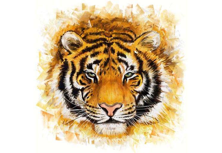 Zidne tapete Wild tiger SW182